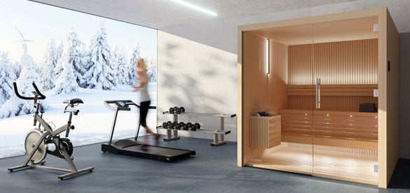 Vente Sauna Intérieur Annecy