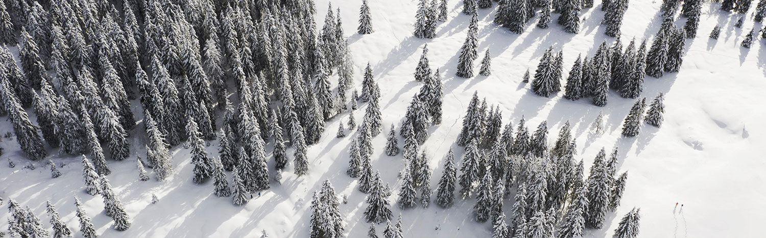 Alternance Chaud Froid Bienfaits