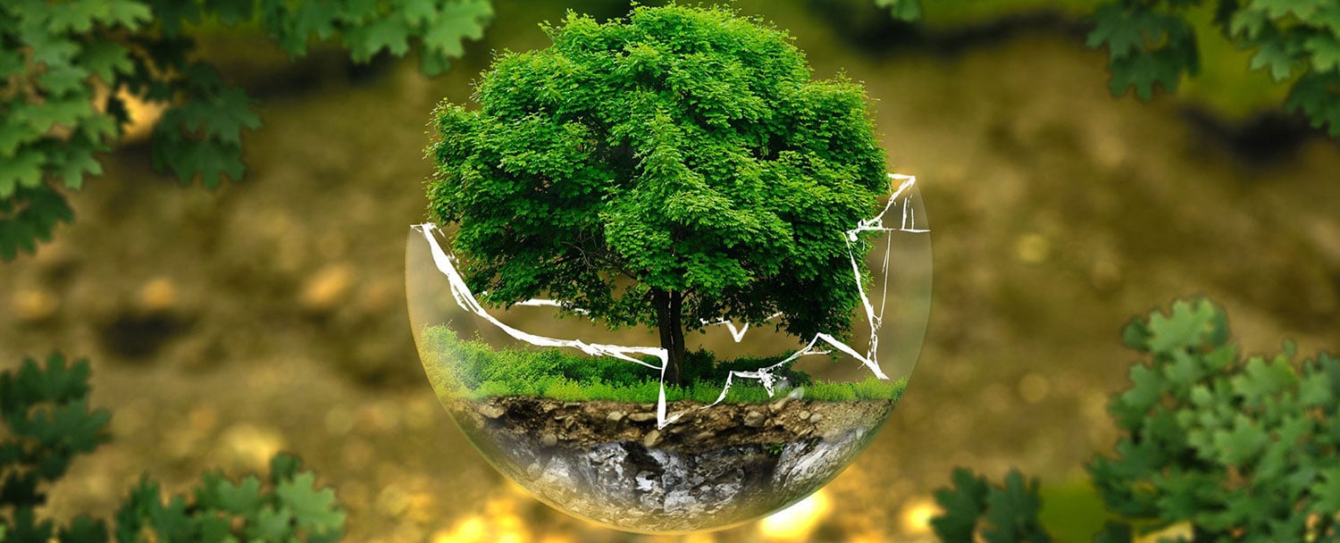 Sauna écologie Consommation Sauna écologie Consommation