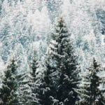 Sauna Hiver Sante Immunitaire