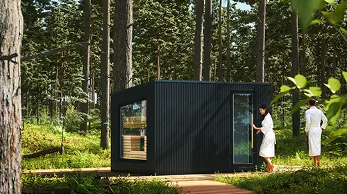 Sauna Exterieur Design En Bois Terra