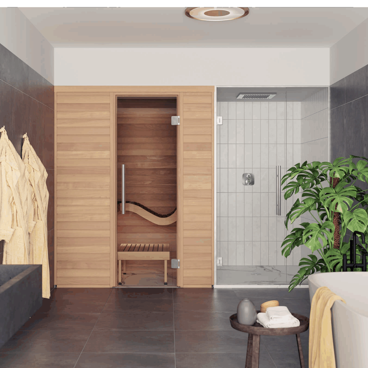 sauna interieur baia